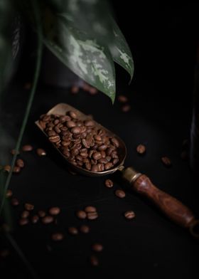 Wooden Coffee