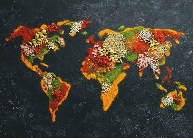 World map spices art