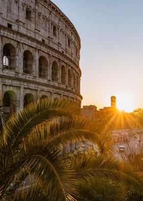 Palms and colosseum Rome