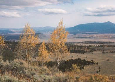 Autumn Beginnings Wyoming