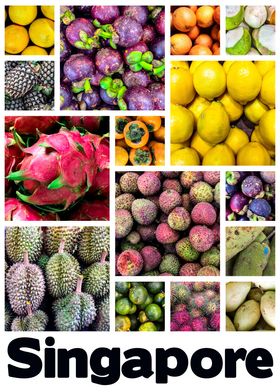 Singapore Tropical Fruit