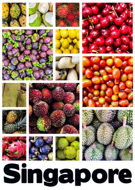 Singapore Tropical Fruit