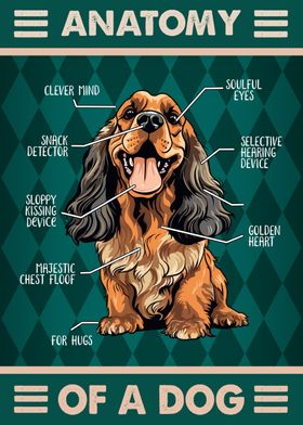 Cocker Spaniel Dog