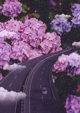Pink Flower Road