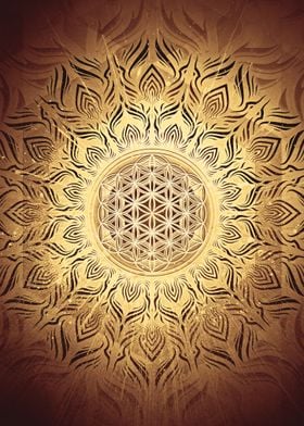 Golden Flower Mandala