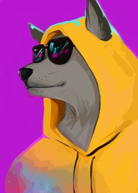 Dog Glasses and Hoodie