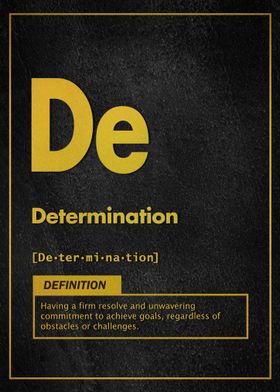 Determination definition