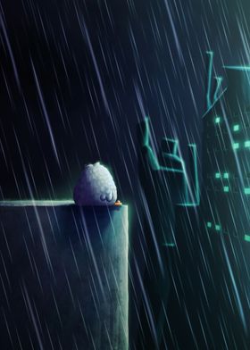 Little duck under the rain