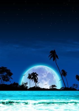 beach moonlight