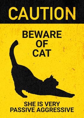 BEWARE OF PASSIVE AGG CAT