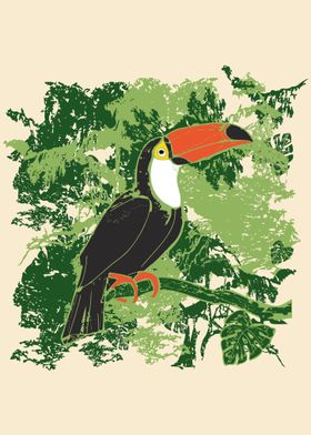 Toucan