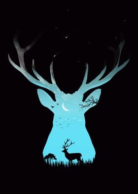 Animal Nature Deer 