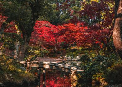 Japanese Garden in Autumn