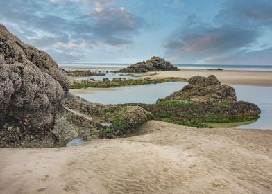 Captivating Tide Pools