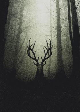 The Watcher in the Woods