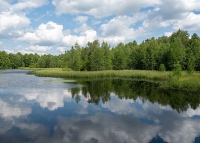 Lake idyll