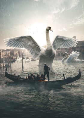 Venice Swans