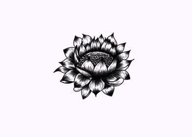 Black and White Flower