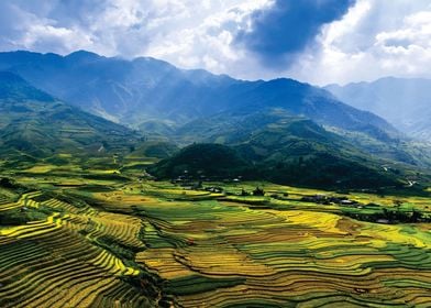 rice terraces in island