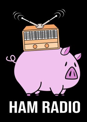 Ham Radio Pig