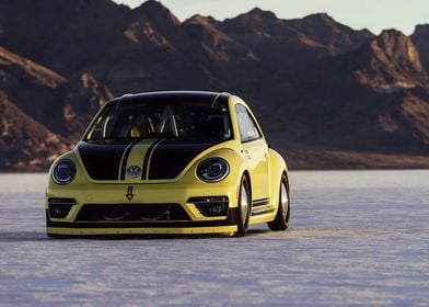 Volkswagen Beetle LSR