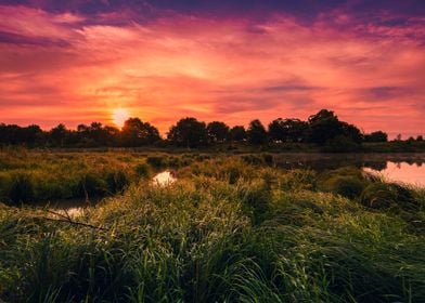 Summer sunrise wild river