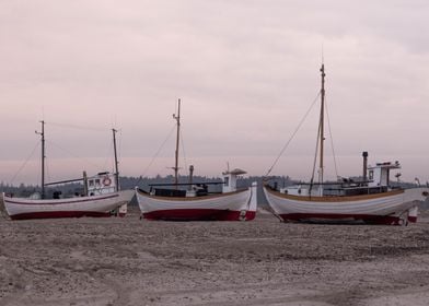 Fishing boats