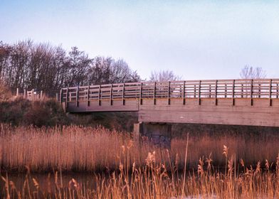 Walkway bridge