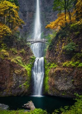 Waterfall in Forest Nature