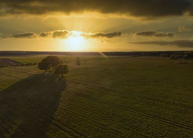 Sunset Over Vast Meadow