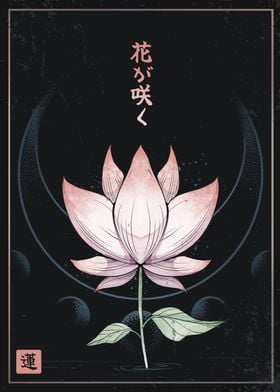 Soulful Lotus