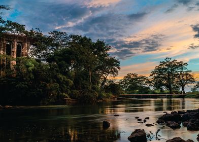 sunset in the park