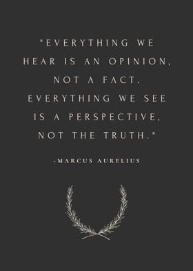 Marcus Aurelius Artwork