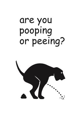 Are You Pooping or Peeing