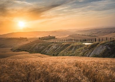 Tuscan Sunset