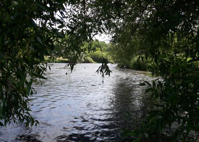 Willow riverflow