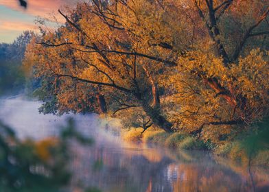 Sunrise, river, autumn 