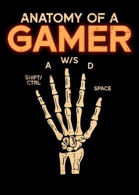 Anatomy Of A Gamer
