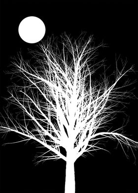 Black and White Tree Moon