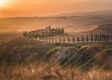 Tuscan Sunset