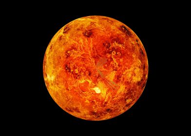 venus northern hemisphere