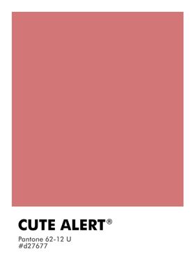 PANTONE CUTE ALERT