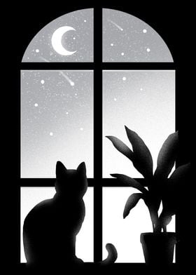 Cat window Kitty nightmoon