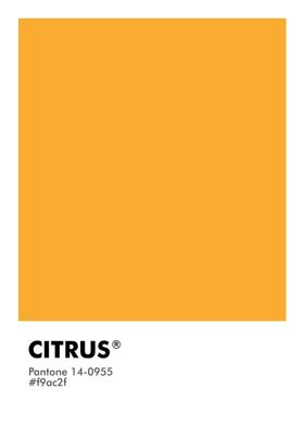 PANTONE CITRUS