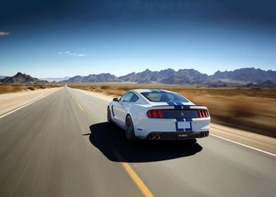 Shelby GT 350 Car