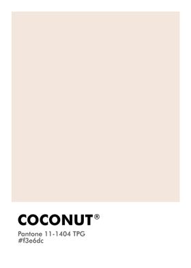 PANTONE COCONUT