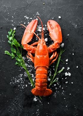 Funny Crawfish Boil Gift Cajun Louisiana Seafood Food Meme - Crawfish - T- Shirt