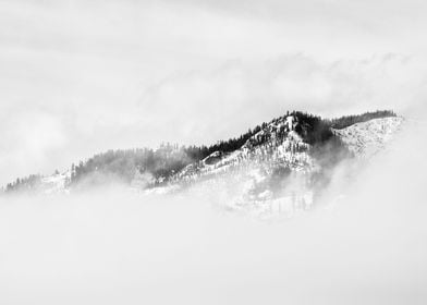 Snow Forest Mountain