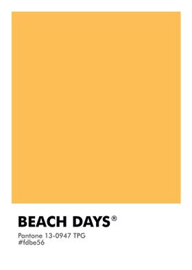 PANTONE BEACH DAYS