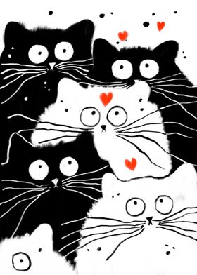 Black and white Cat love